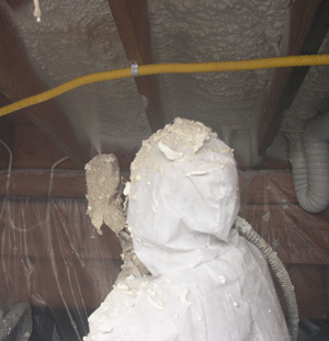 Jackson MS crawl space insulation